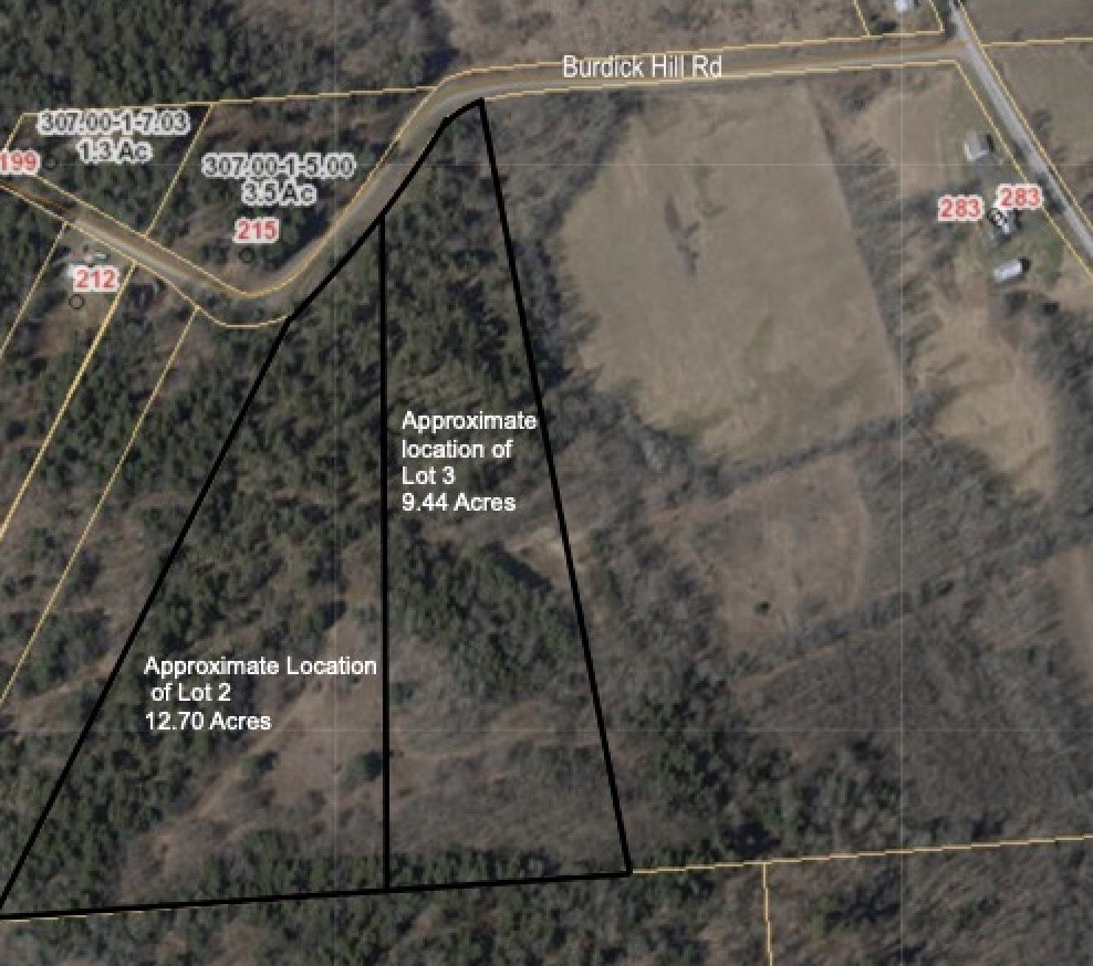 Lot 2 Burdick Hill Road Otego, NY 13825 - Photo 2 of 11 Gallery Image 2