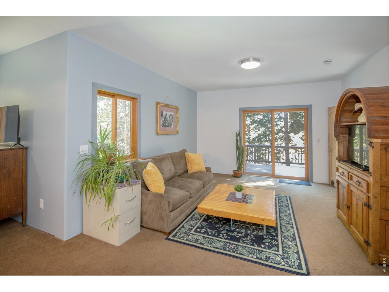 3727 Gamble Gulch Road Black Hawk, CO 80422 - Photo 27 of 31 a living room with furniture and a rug