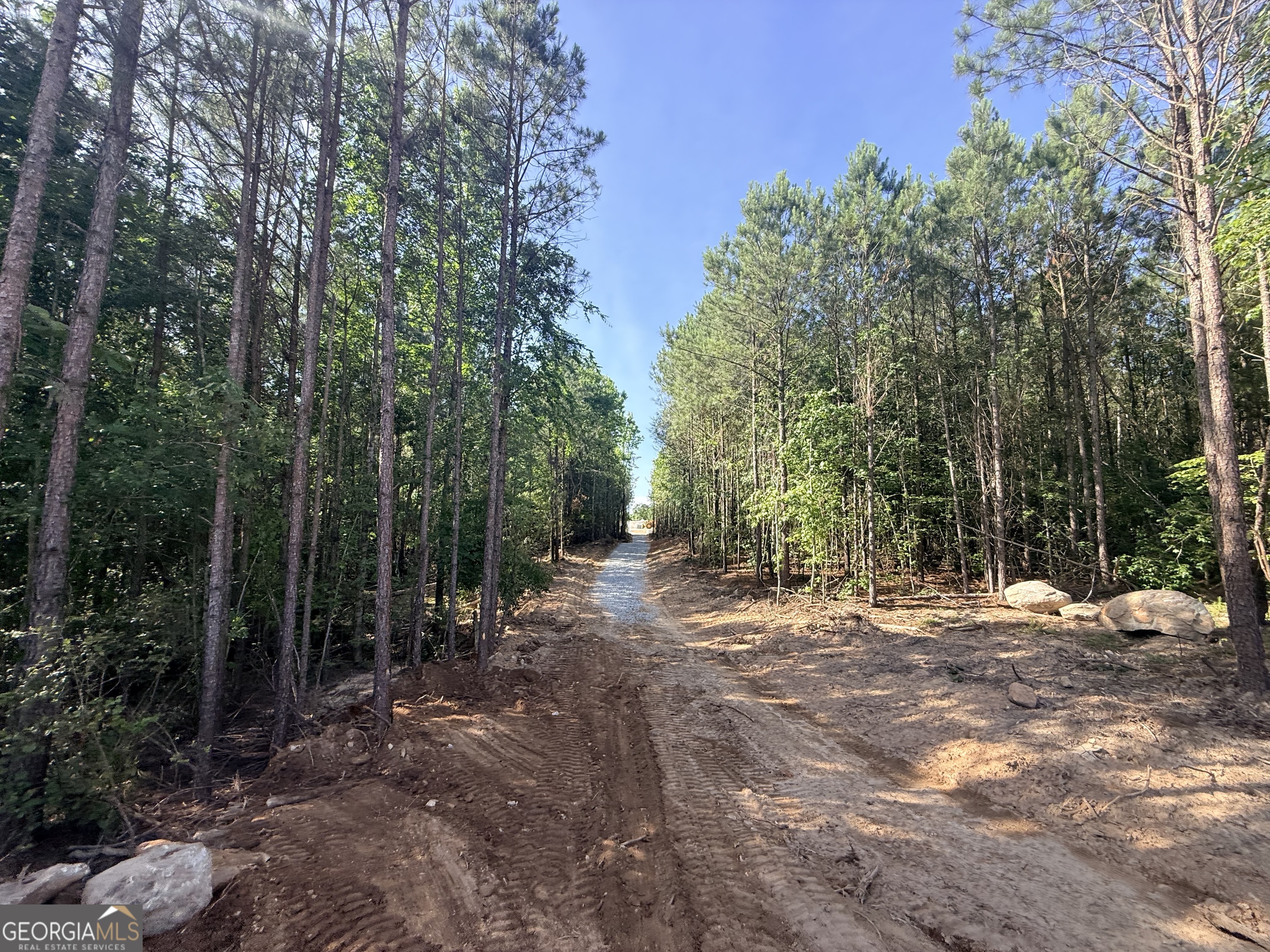 2787 Cedar Creek Road Elberton, GA 30635 - Photo 19 of 88