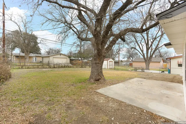 a view of a yard with a tree