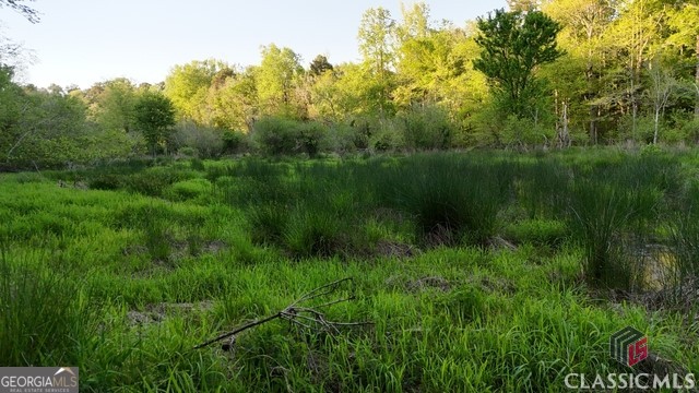 0 Moore Road Elberton, GA 30635 - Photo 20 of 67