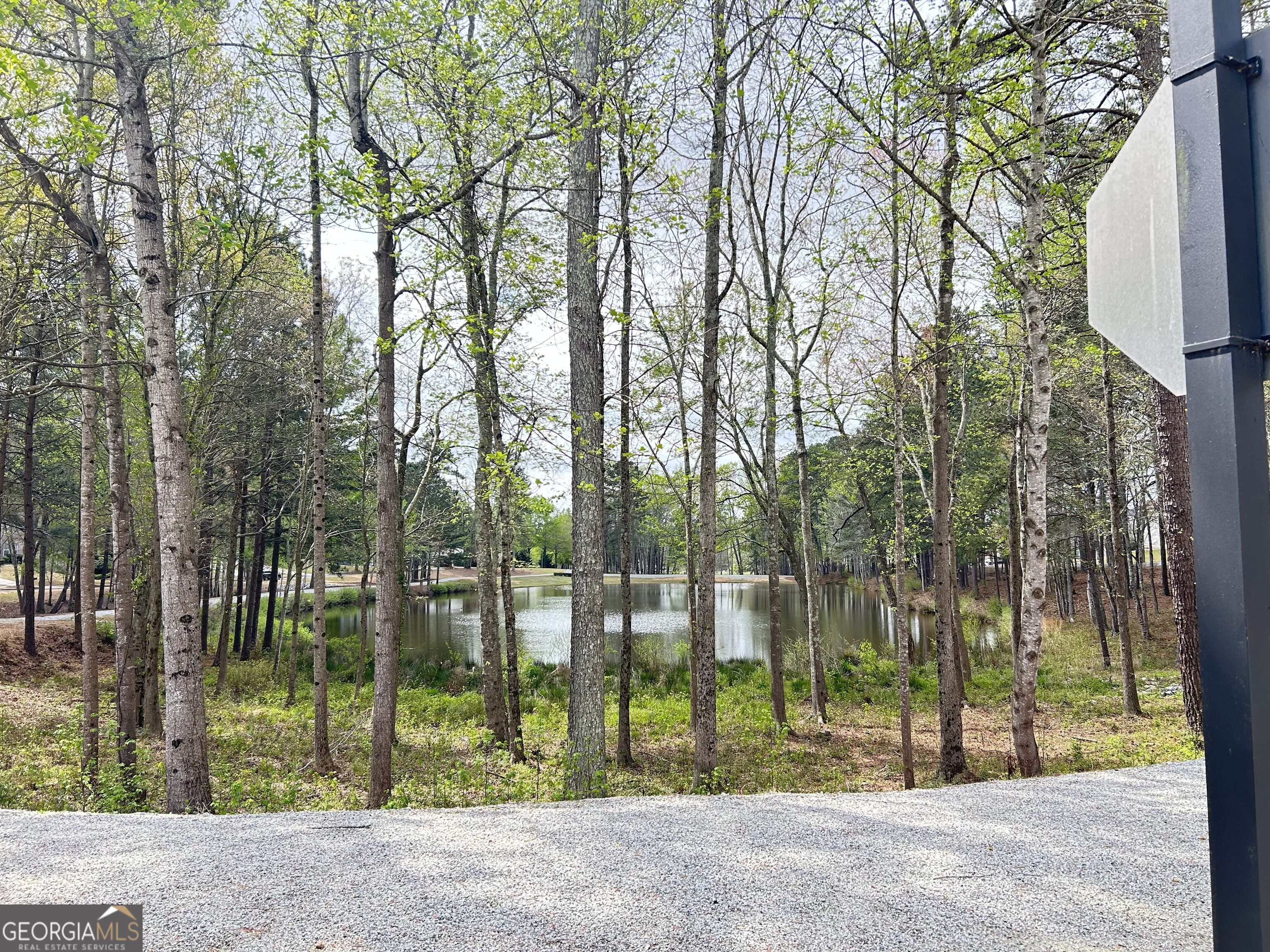 7613 Cedar Grove Court Fairburn, GA 30213 - Photo 6 of 61 Lake View