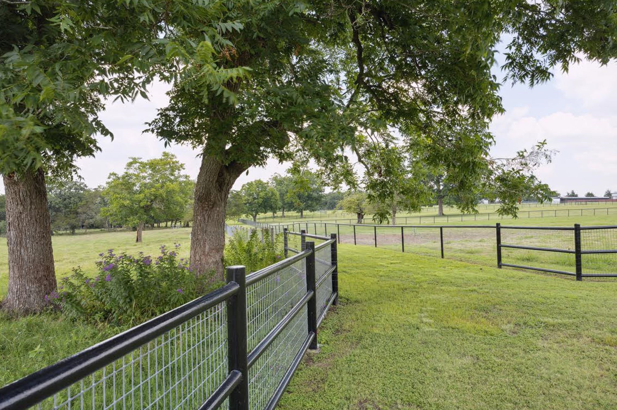 1325 Stalmach Road New Ulm, TX 78950 - Photo 14 of 50 Pipe rail fencing with non-climbable horse wire throughout.