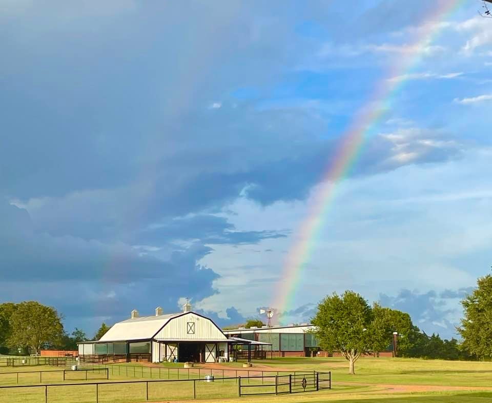 1325 Stalmach Road New Ulm, TX 78950 - Photo 15 of 50 Horse barn and paddocks.