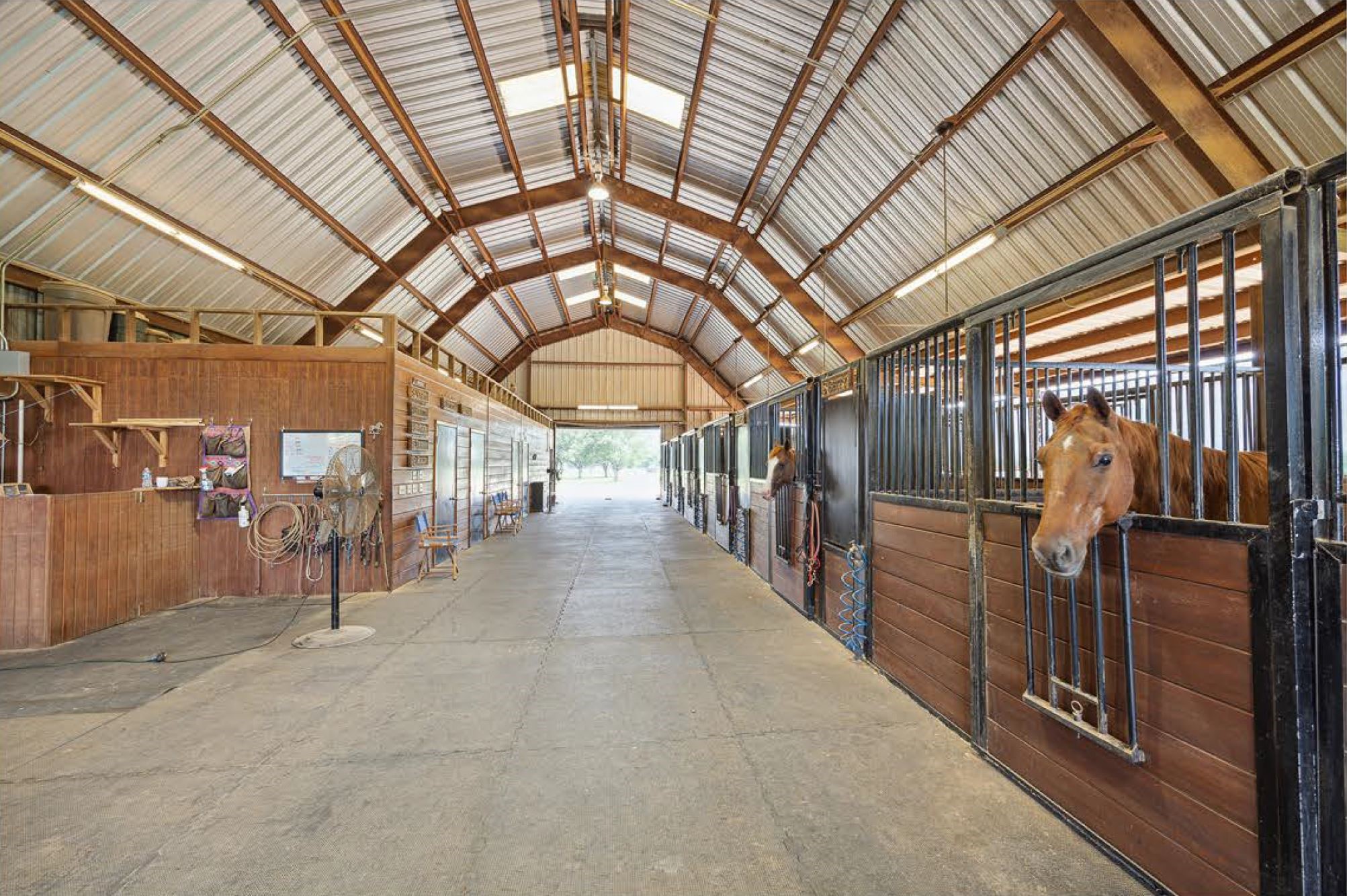1325 Stalmach Road New Ulm, TX 78950 - Photo 21 of 50 Expansive horse barn complete with wash rack