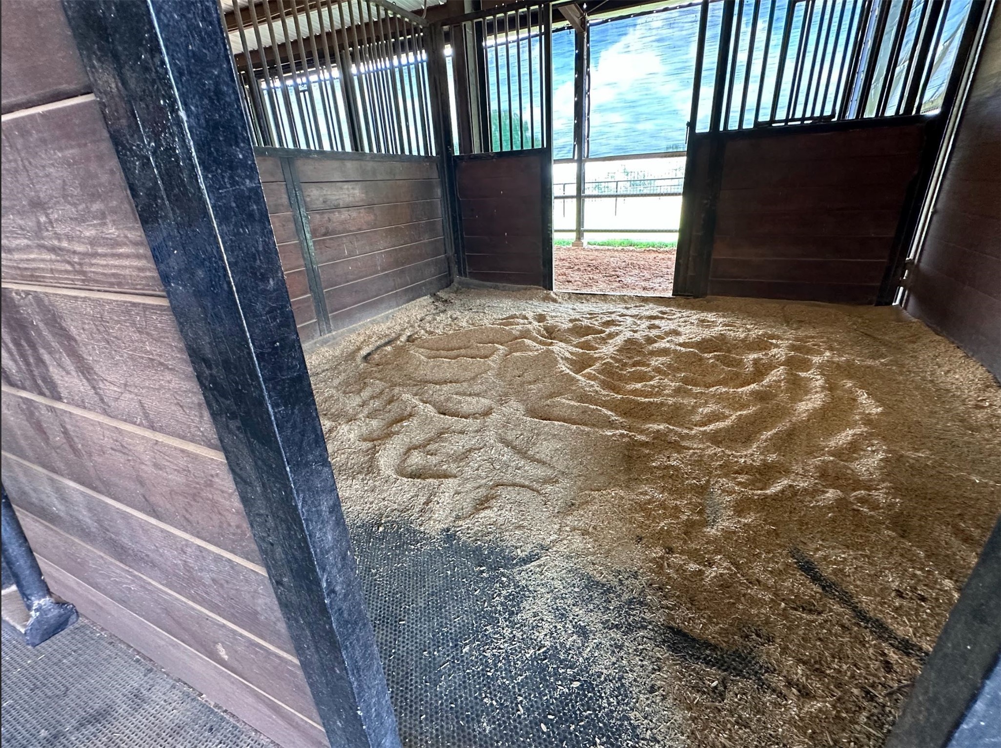 1325 Stalmach Road New Ulm, TX 78950 - Photo 22 of 50 Horse barn- 8 stalls each 12'x12' with rubber mats and fans.