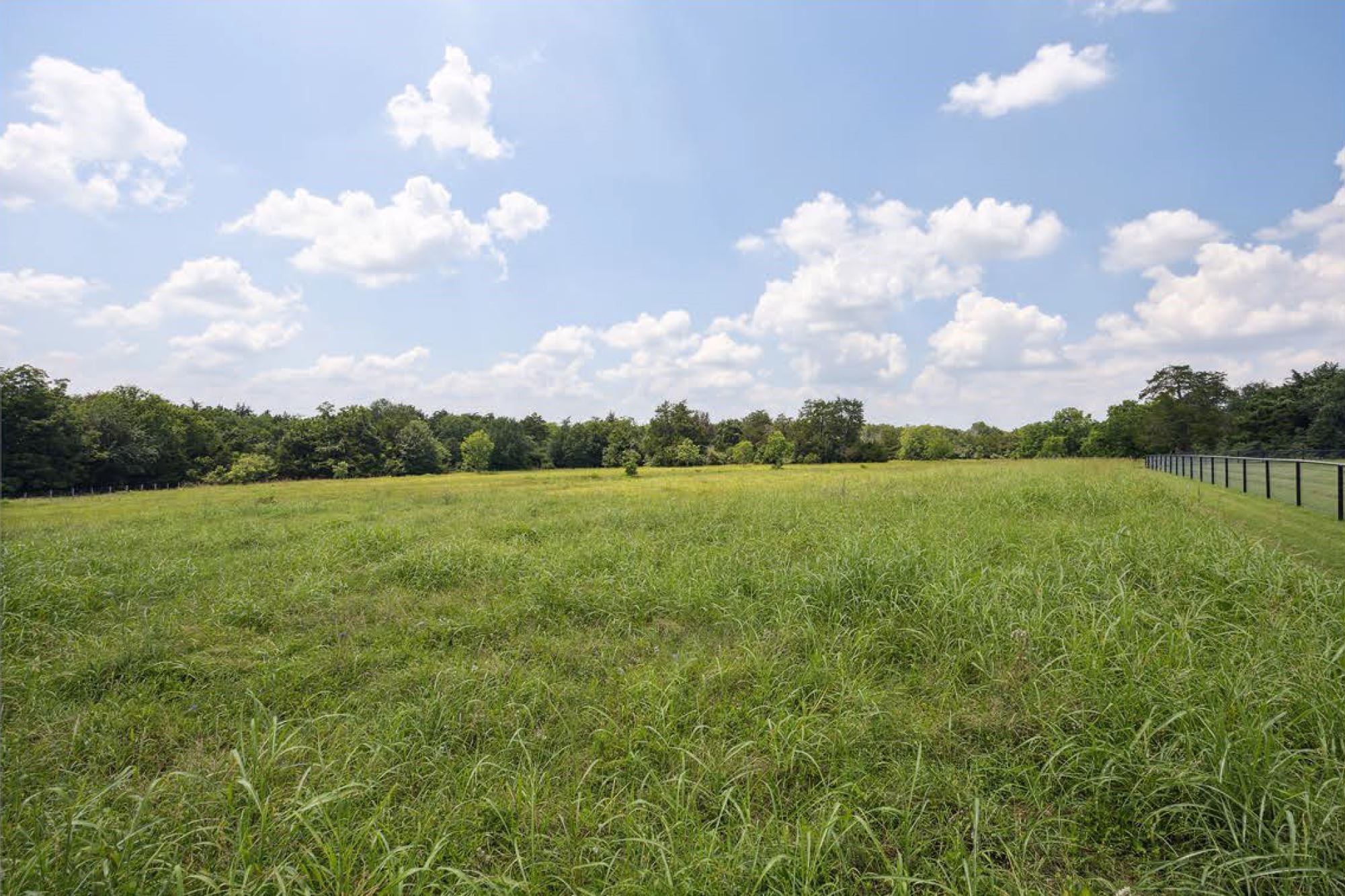 1325 Stalmach Road New Ulm, TX 78950 - Photo 27 of 50 Beautiful improved pastures.