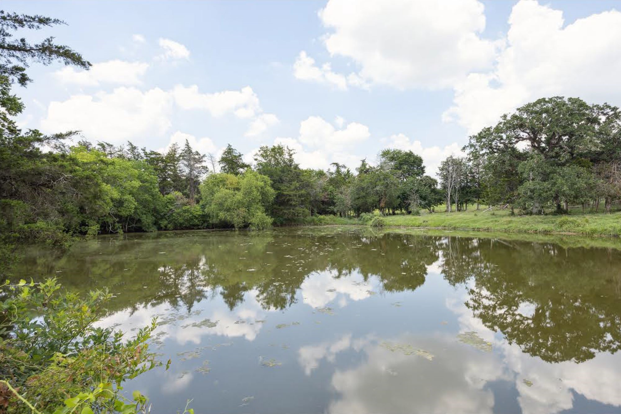 1325 Stalmach Road New Ulm, TX 78950 - Photo 28 of 50 Large, serene pond in the back paddock.