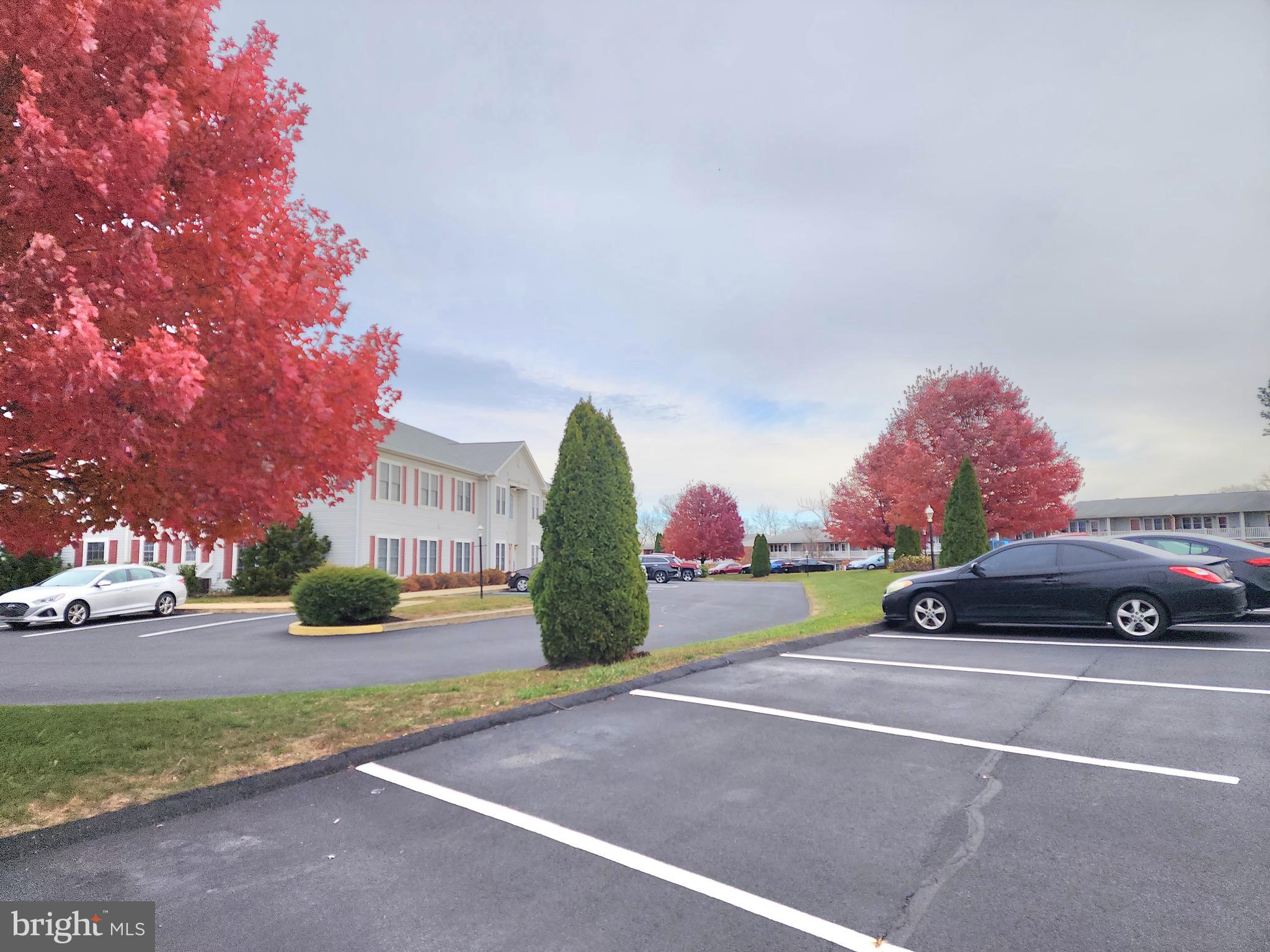 76 Lark Circle York, PA 17404 - Photo 15 of 28 a view of street with parked cars