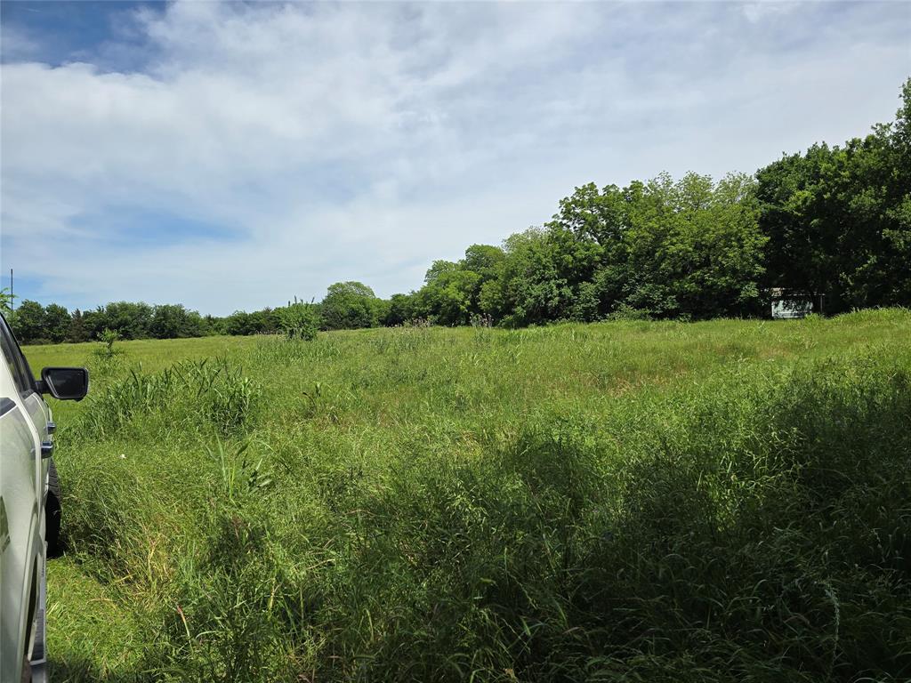 1039 County Road 1039 Blue Ridge, TX 75424 - Photo 5 of 8