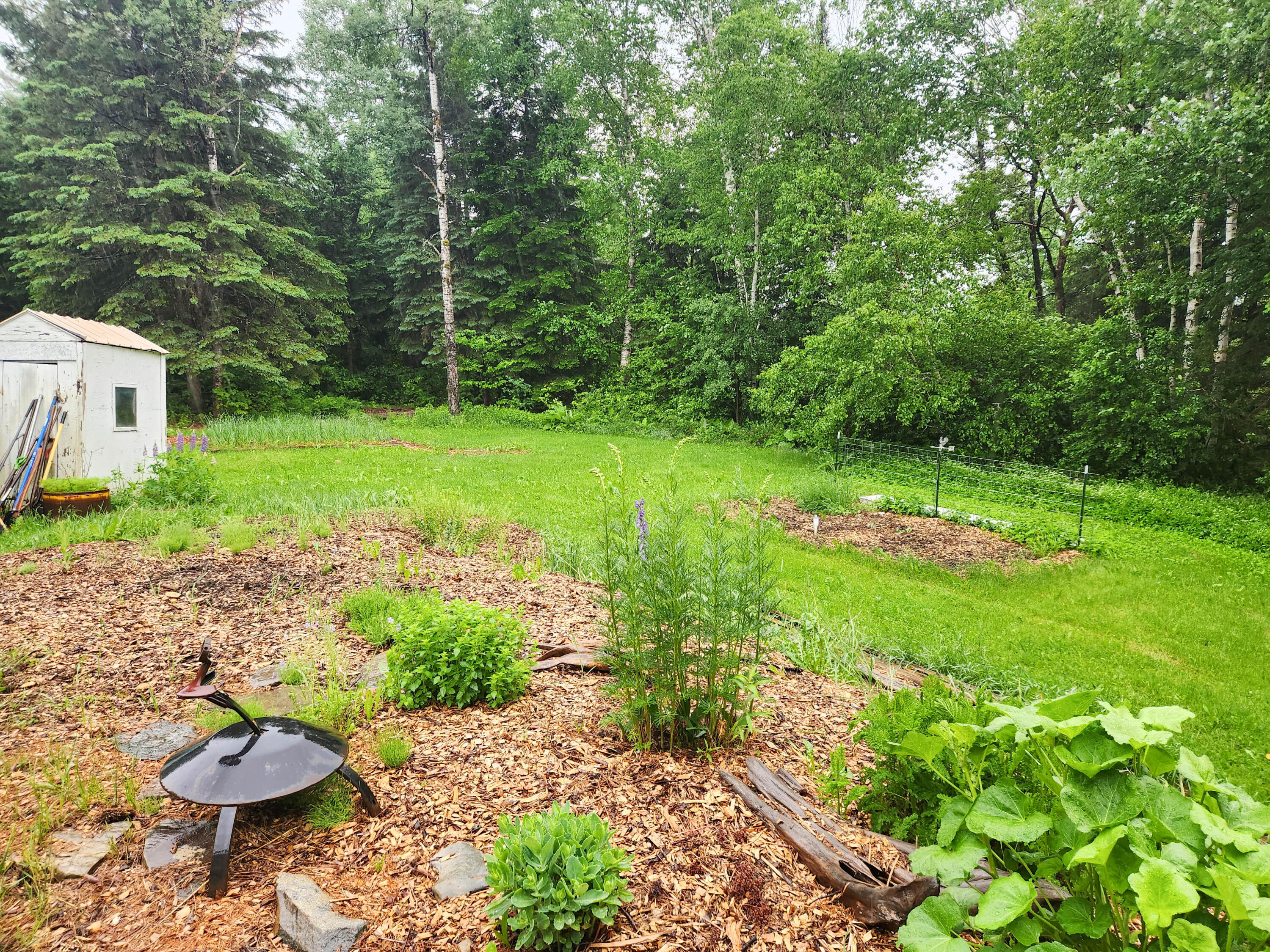 1387 Masardis Road Ashland, ME 04732 - Photo 37 of 42 1387 Main Street-39