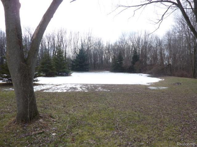 32480 Sutton Road New Baltimore, MI 48047 - Photo 4 of 12 yard