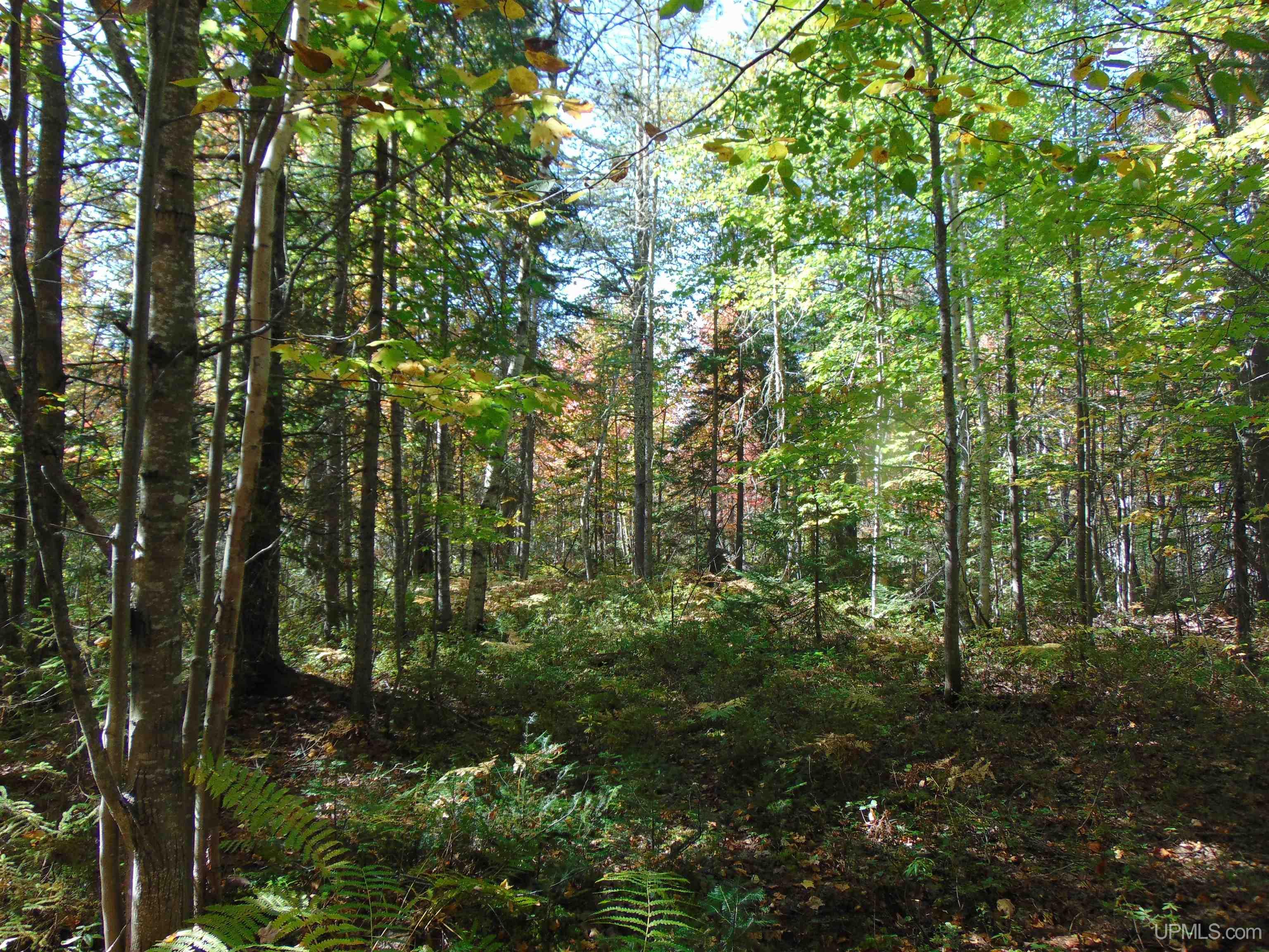1 Rice Lake Road Hancock, MI 49930 - Photo 10 of 31