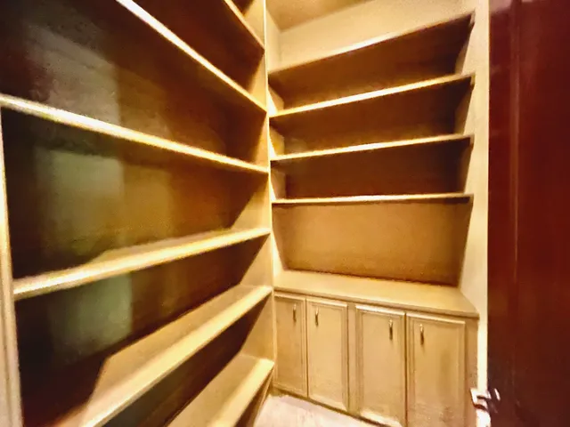 a view of walk in closet