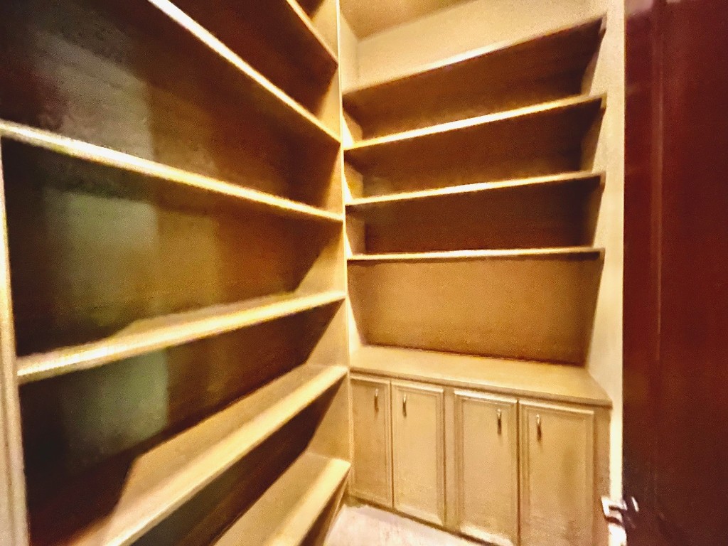 7511 Raes Creek Drive Spring, TX 77389 - Photo 8 of 41 a view of walk in closet