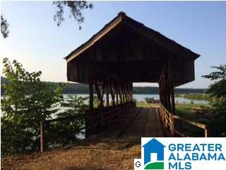 Saunders Bridge Road Sterrett, AL 35147 - Photo 8 of 15