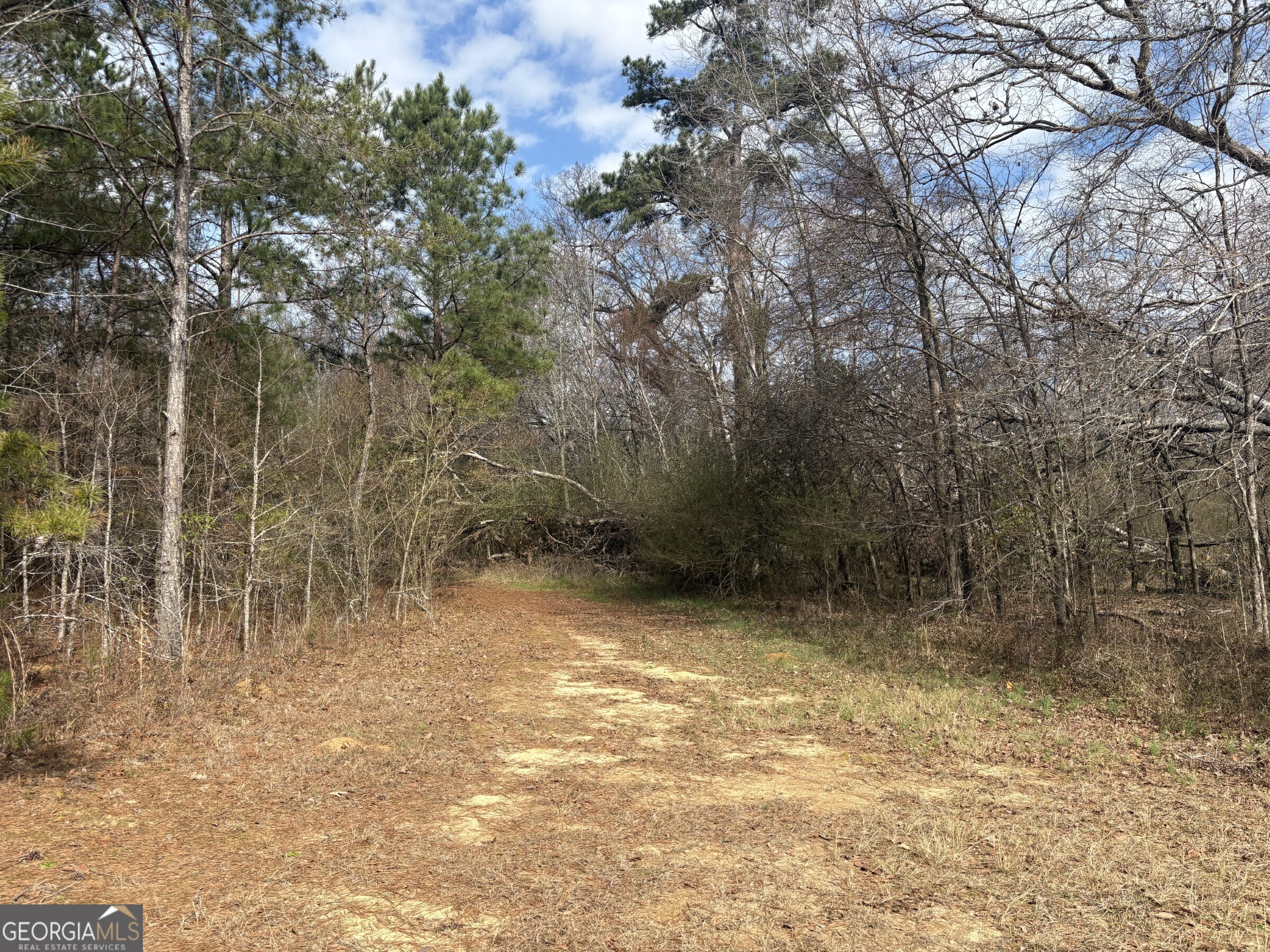 L8 Quaker Road Keysville, GA 30816 - Photo 5 of 10