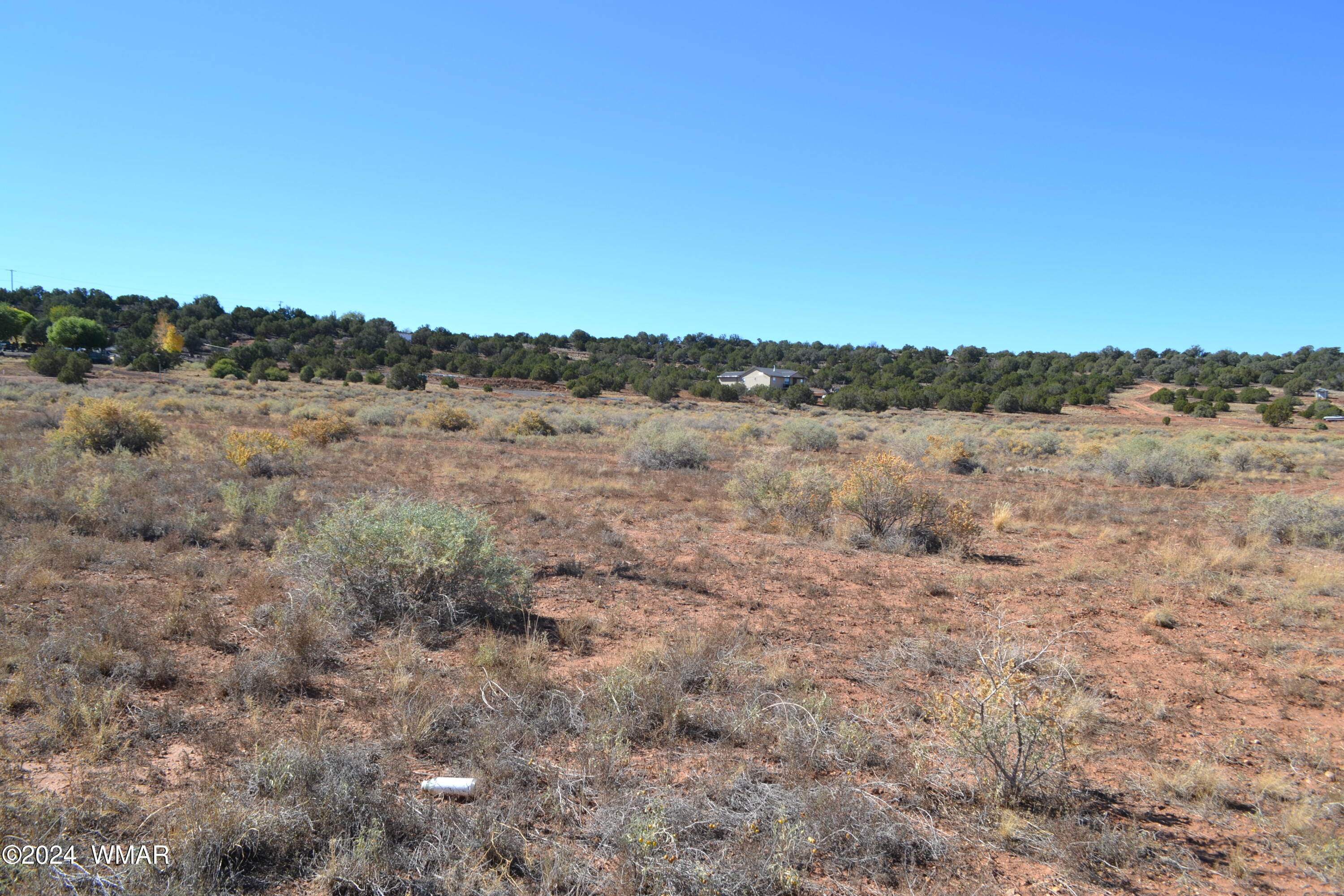 58 Q Bar Ditch Road Show Low, AZ 85901 - Photo 7 of 18 DSC_0772