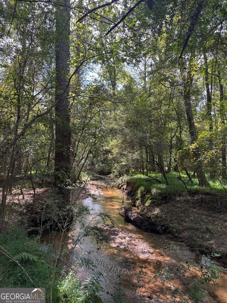0 Hebron Church Road Statham, GA 30666 - Photo 12 of 18