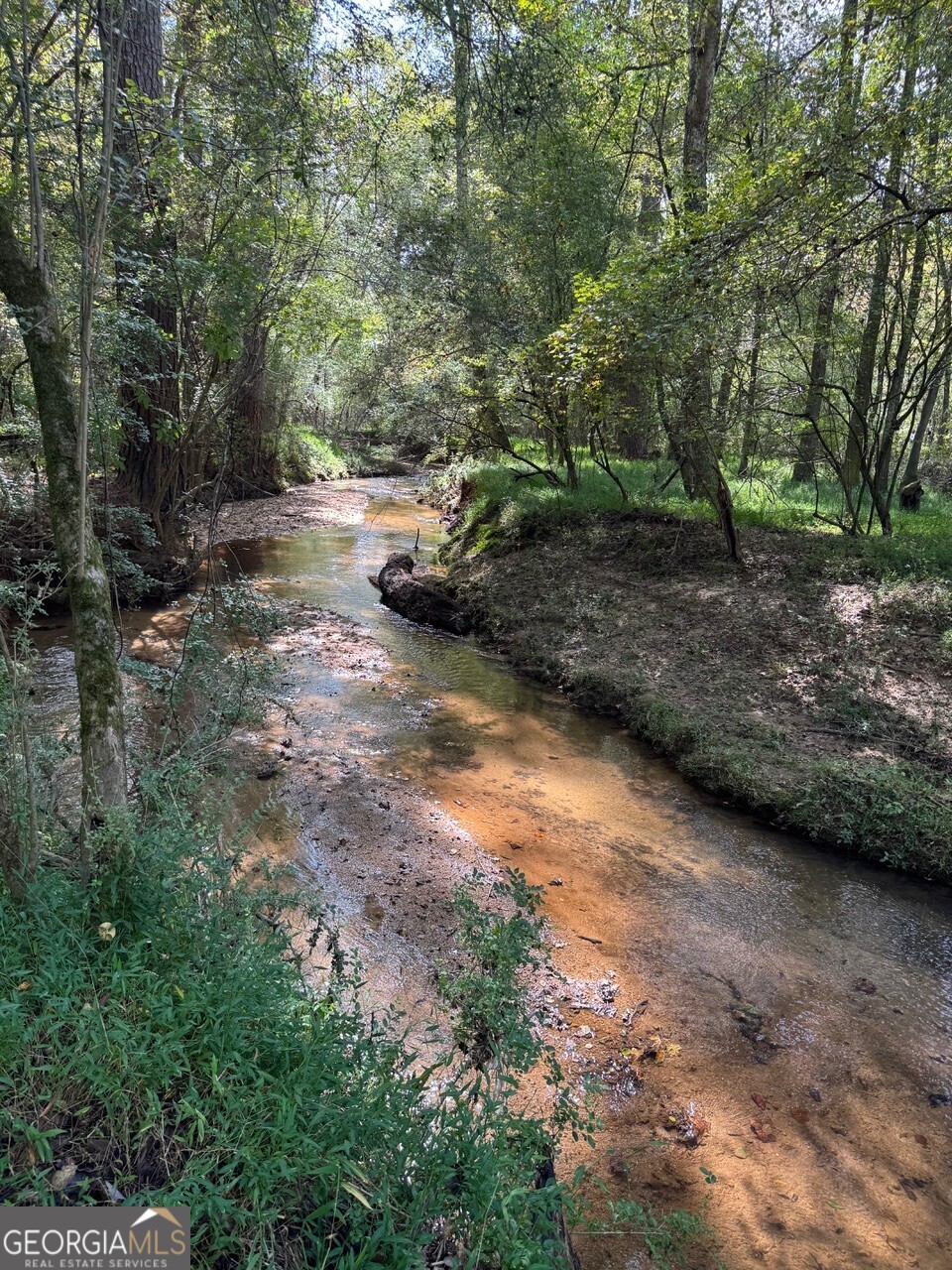0 Hebron Church Road Statham, GA 30666 - Photo 13 of 18