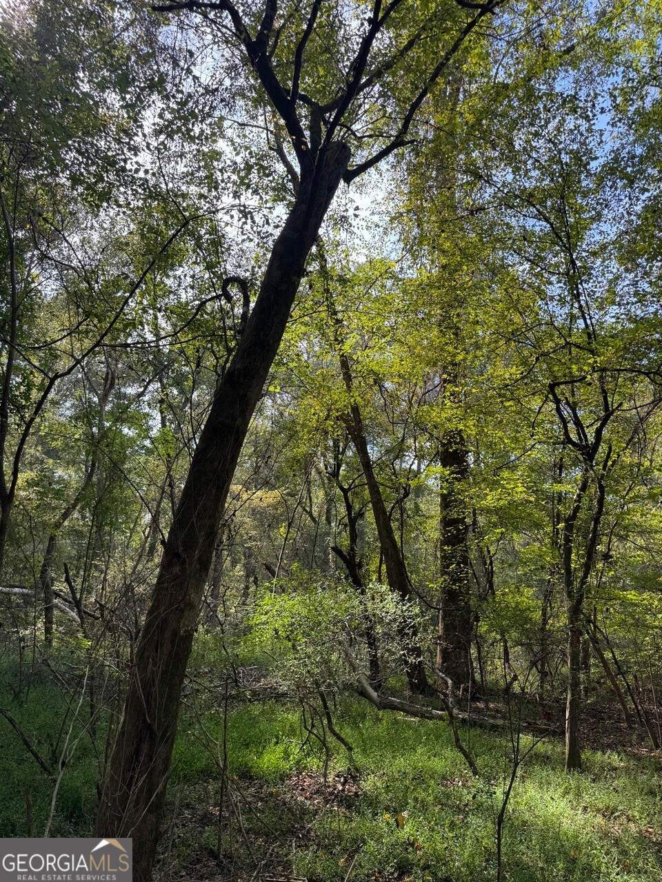 0 Hebron Church Road Statham, GA 30666 - Photo 15 of 18