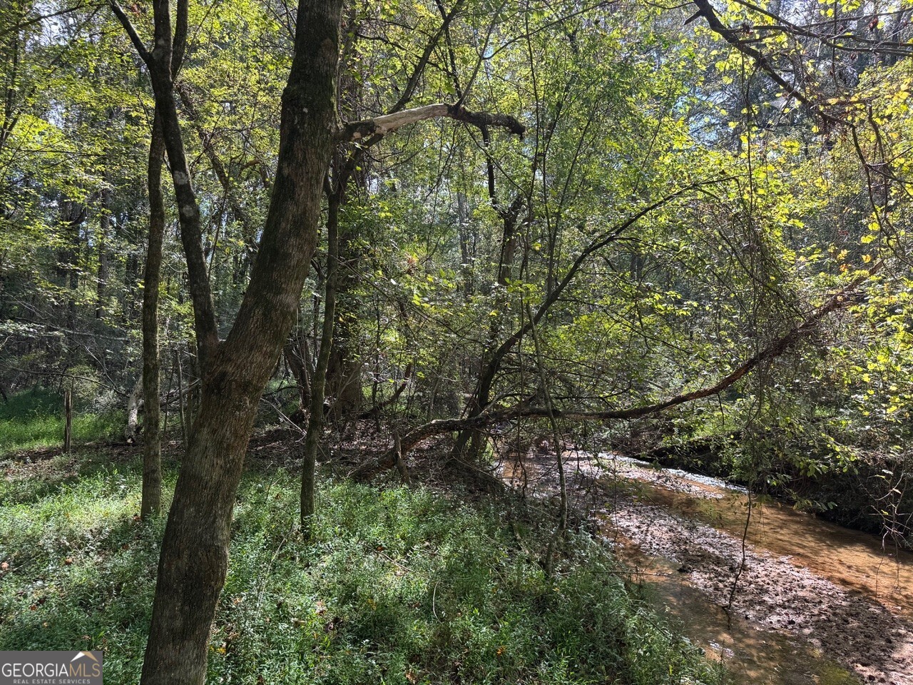 0 Hebron Church Road Statham, GA 30666 - Photo 16 of 18