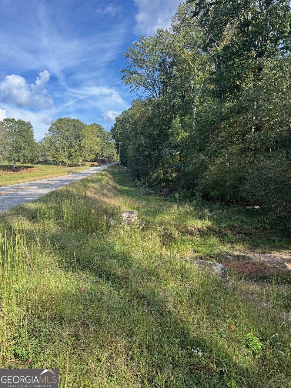 0 Hebron Church Road Statham, GA 30666 - Photo 17 of 18