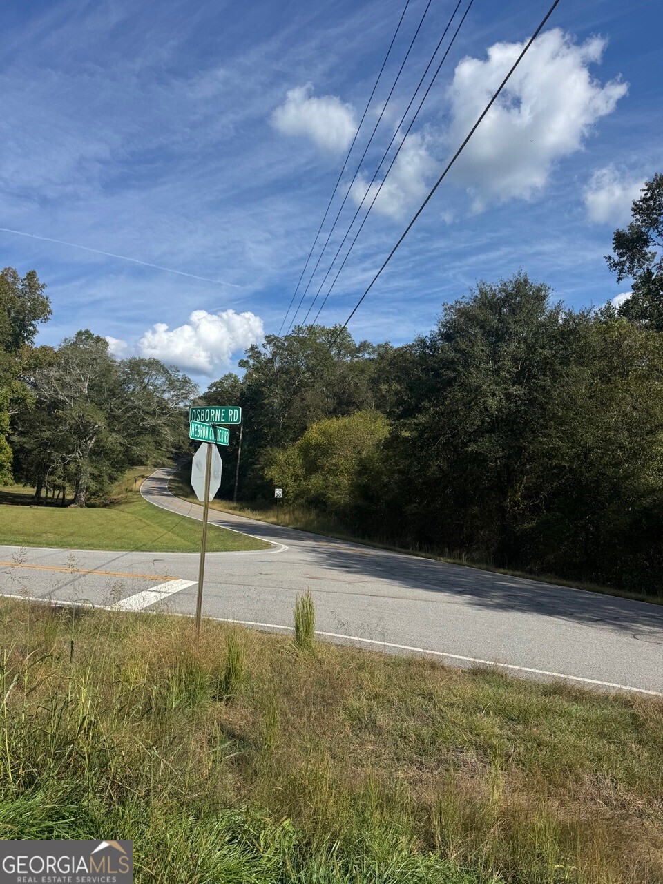 0 Hebron Church Road Statham, GA 30666 - Photo 18 of 18