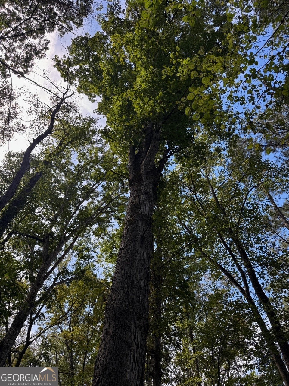 0 Hebron Church Road Statham, GA 30666 - Photo 2 of 18