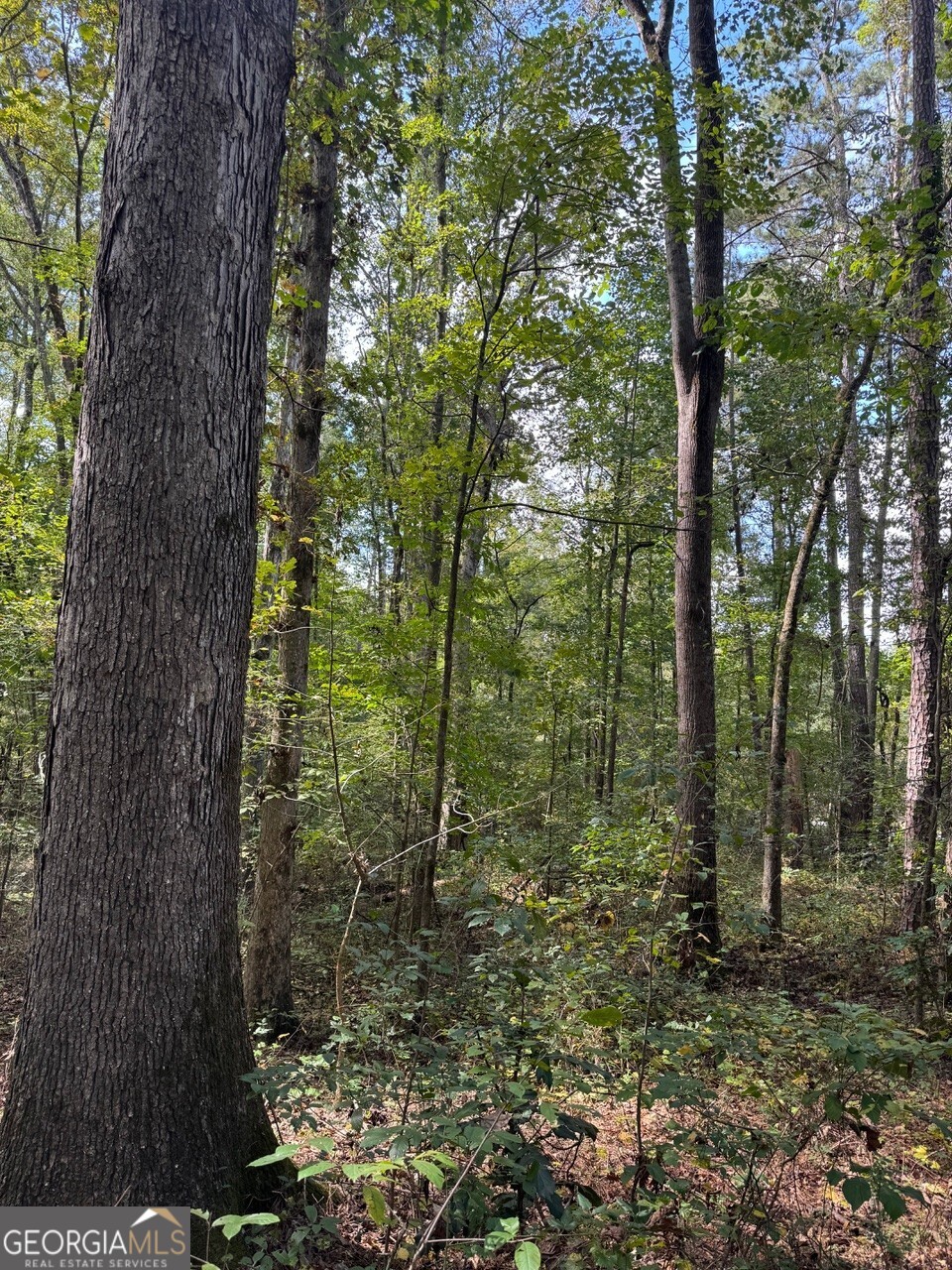 0 Hebron Church Road Statham, GA 30666 - Photo 3 of 18