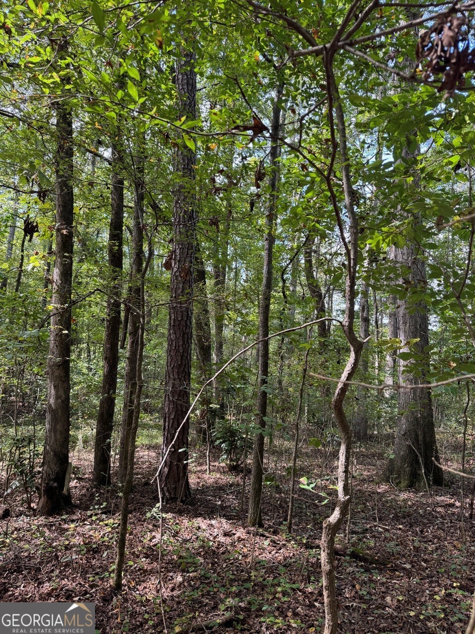 0 Hebron Church Road Statham, GA 30666 - Photo 4 of 18