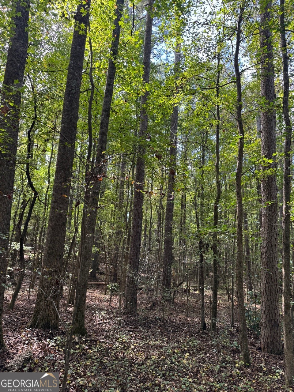 0 Hebron Church Road Statham, GA 30666 - Photo 5 of 18