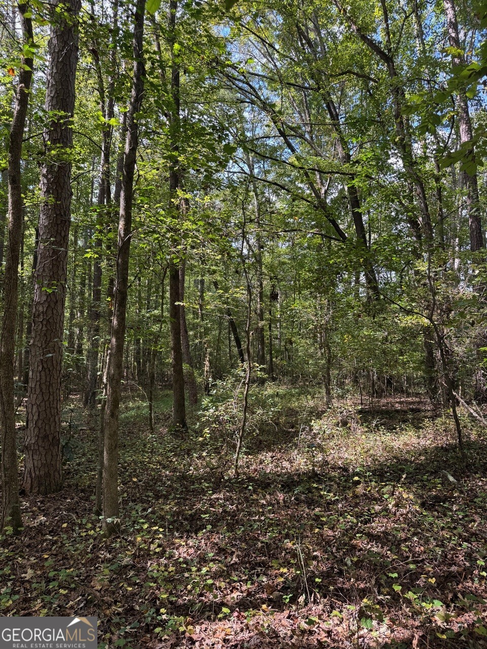 0 Hebron Church Road Statham, GA 30666 - Photo 6 of 18
