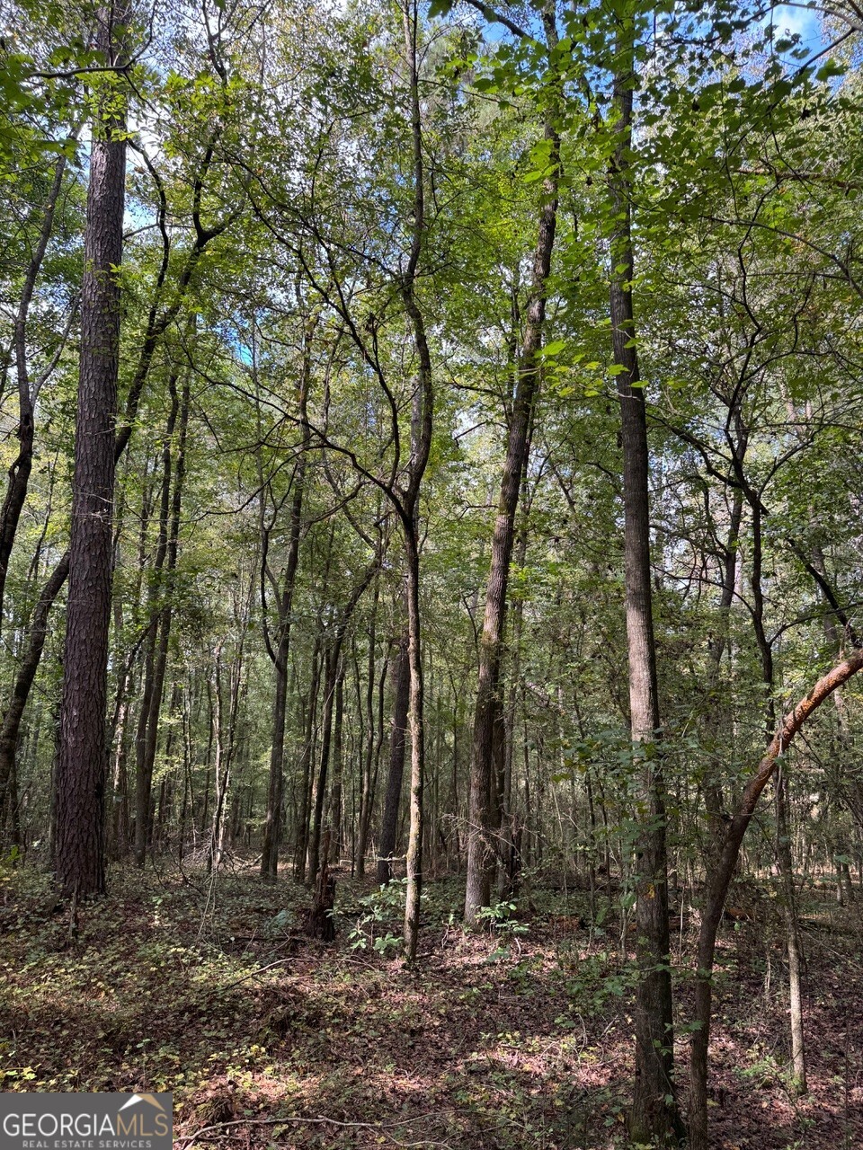 0 Hebron Church Road Statham, GA 30666 - Photo 7 of 18