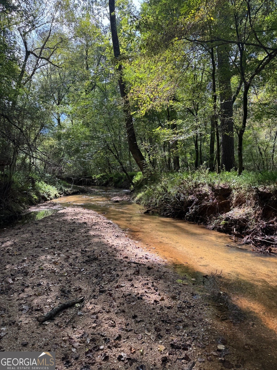 0 Hebron Church Road Statham, GA 30666 - Photo 8 of 18
