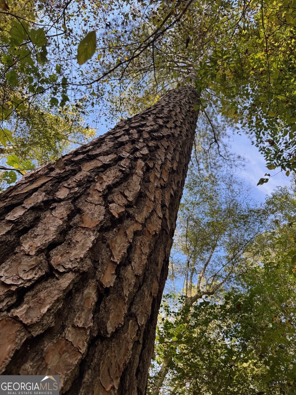 0 Hebron Church Road Statham, GA 30666 - Photo 10 of 18