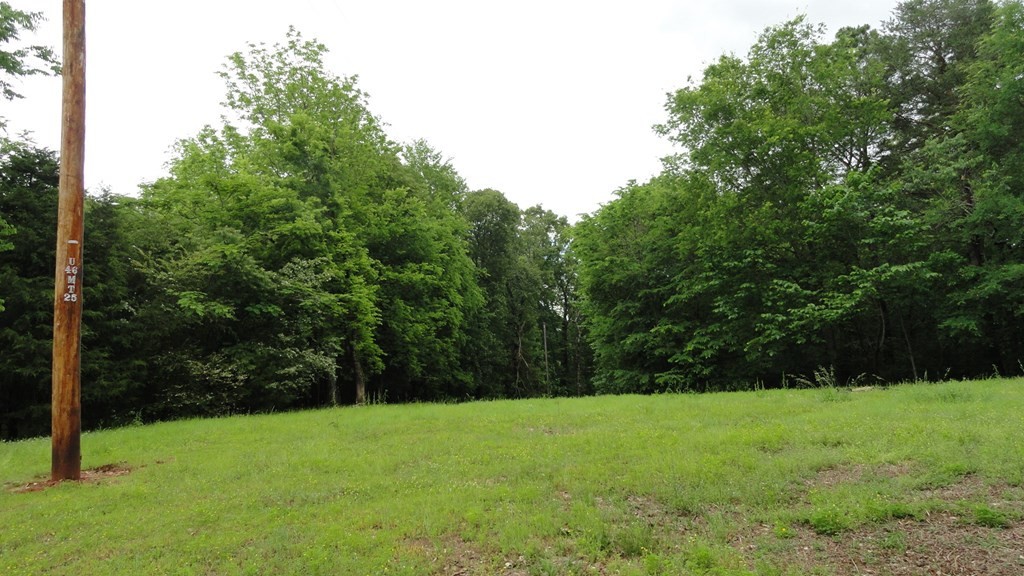 1202 Columbus Road Delano, TN 37325 - Photo 2 of 31 Gallery Image 2