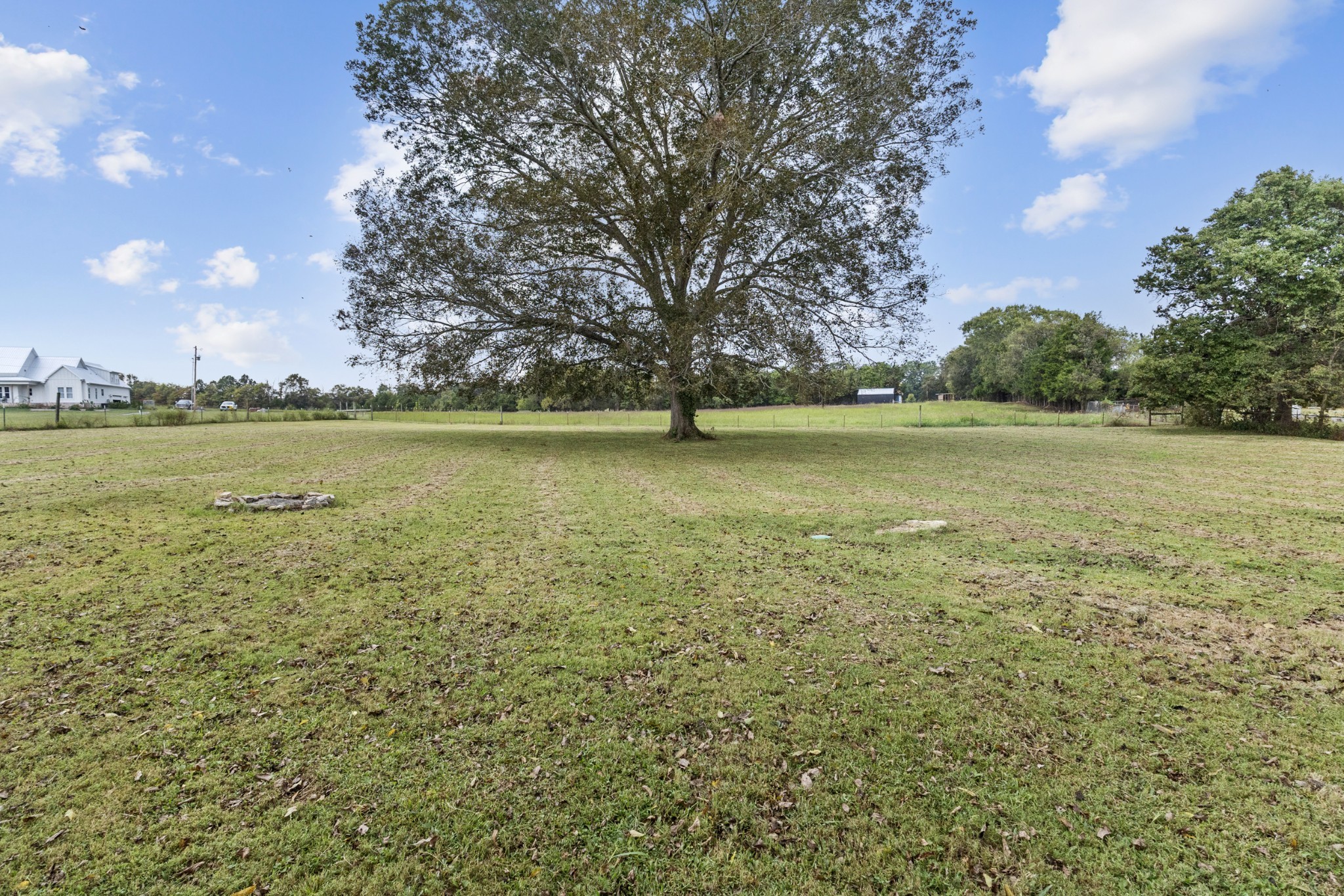 607 Old Columbia Road Unionville, TN 37180 - Photo 44 of 46