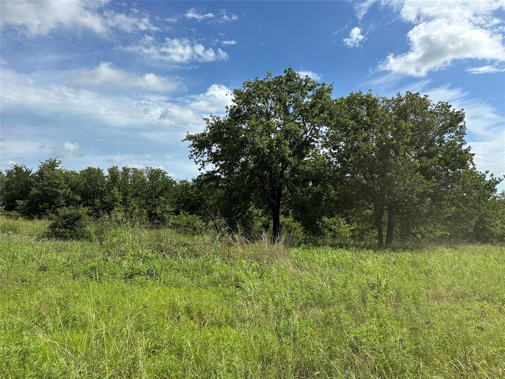 570 Big Salty Lane Springtown, TX 76082 - Photo 19 of 36 Expansive open field with natural grass and mature trees