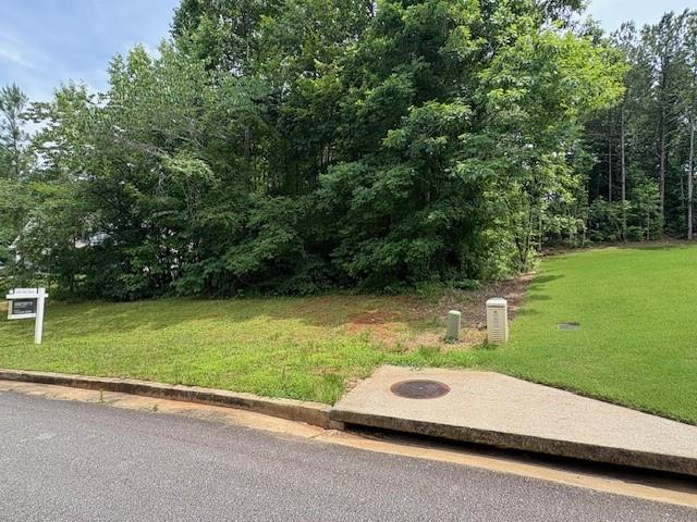 94 Radian Court Dallas, GA 30132 - Photo 6 of 12