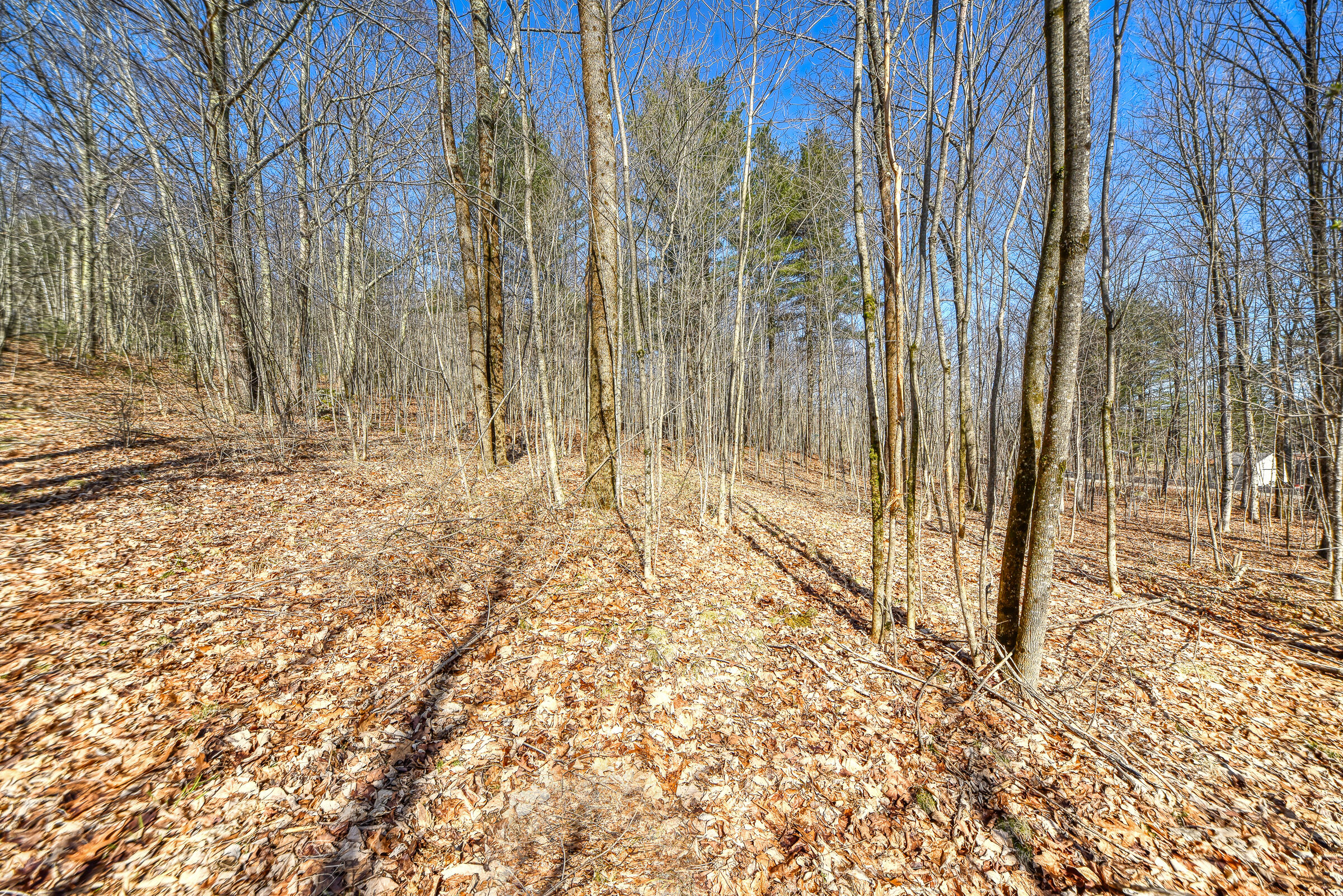 Lot 53-03 Langdon Road Richmond, ME 04357 - Photo 25 of 43 108695gr-110