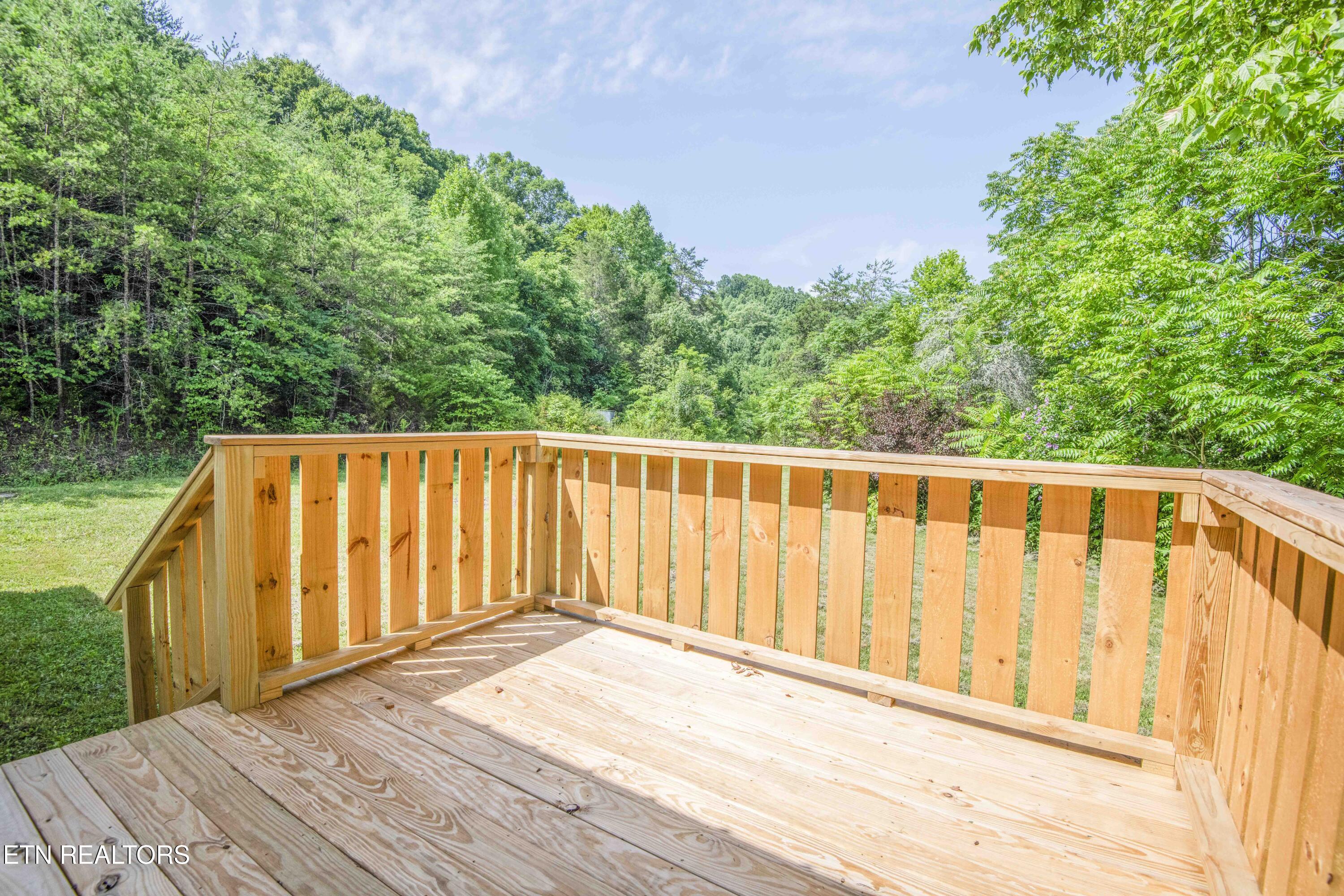 1587 Lower Caney Valley Road Tazewell, TN 37879 - Photo 25 of 42 yard 14_1