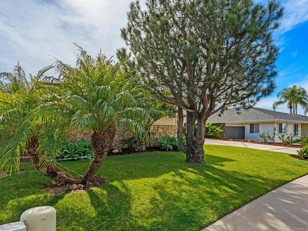 a view of a house with backyard and a tree