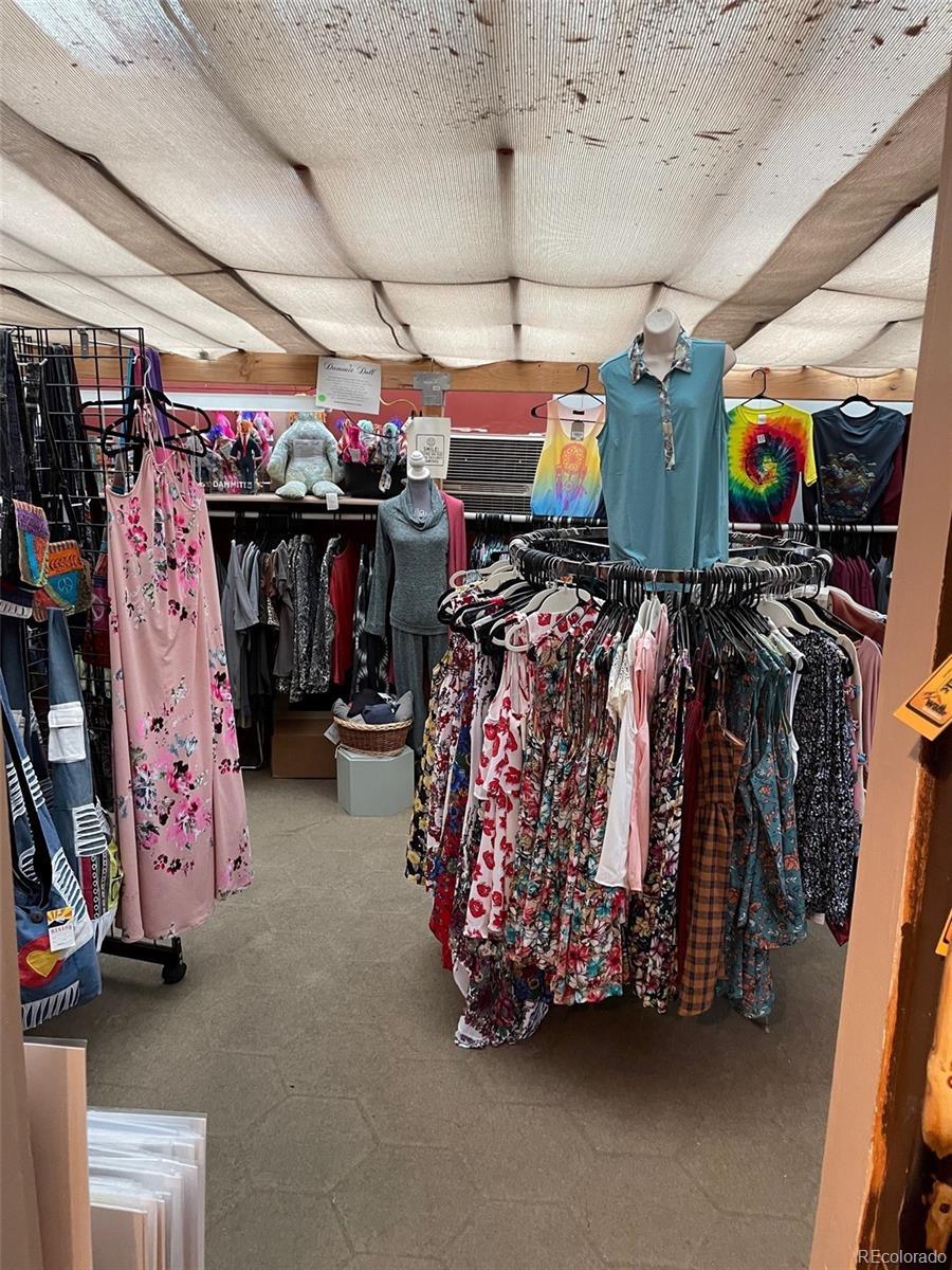 205 Bear Creek Lane Morrison, CO 80465 - Photo 27 of 28