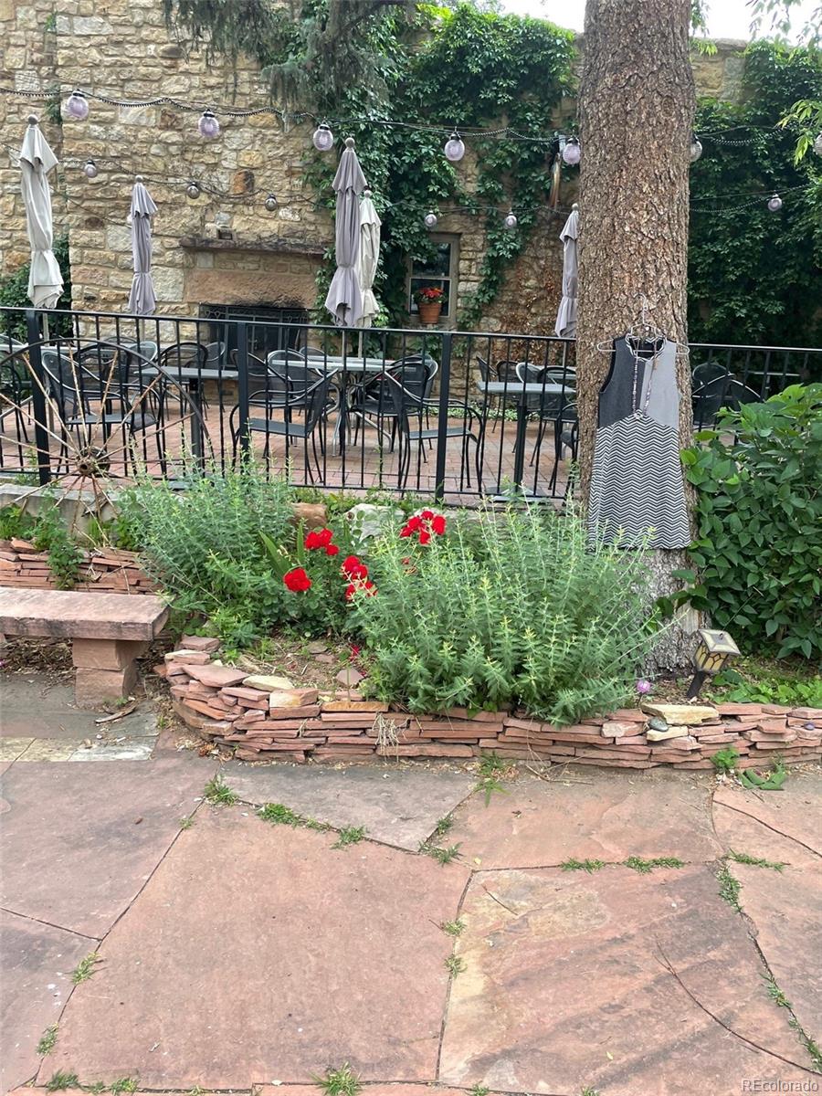 205 Bear Creek Lane Morrison, CO 80465 - Photo 5 of 28