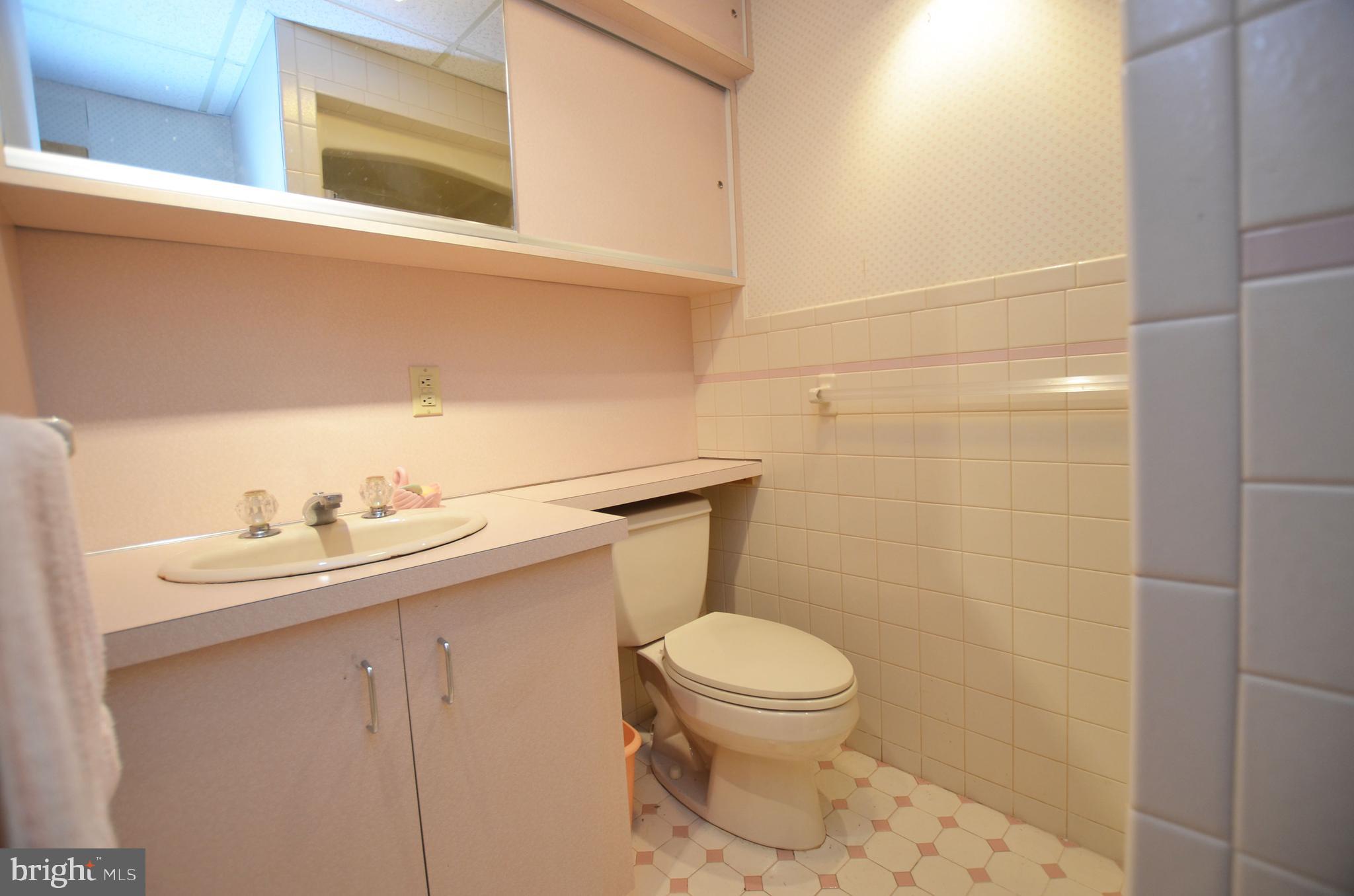 333 Old Porter Road Bear, DE 19701 - Photo 21 of 36 Basement Bathroom