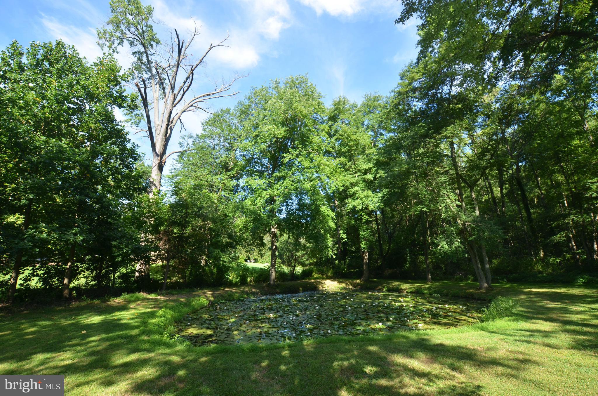 333 Old Porter Road Bear, DE 19701 - Photo 31 of 36 Pond