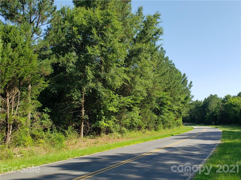 0 Hamilton Street Chester, SC 29706 - Photo 16 of 23 a view of a yard with plants and large trees