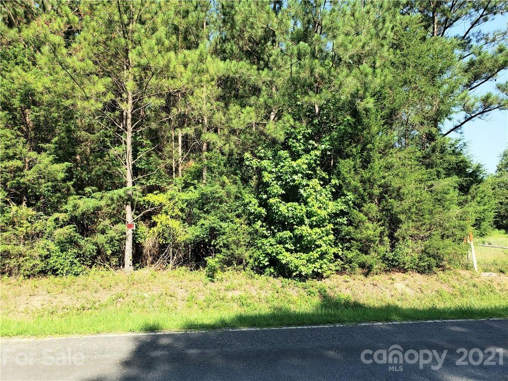 0 Hamilton Street Chester, SC 29706 - Photo 17 of 23 a view of a yard with an trees