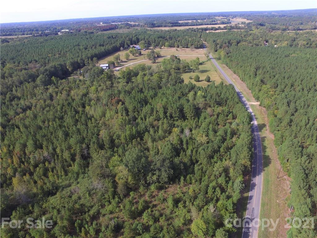 0 Hamilton Street Chester, SC 29706 - Photo 6 of 23 a view of a lush green forest with trees and some houses